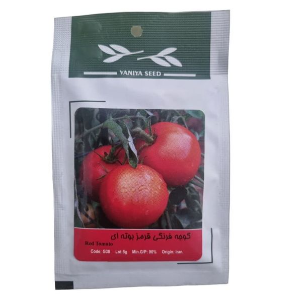 بذر گوجه فرنگی قرمز بوته ای وانیا سید مدل BA14064