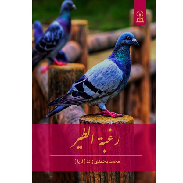 کتاب رغبته الطیر اثر محمد محمدی زاده نشر زرین اندیشمند