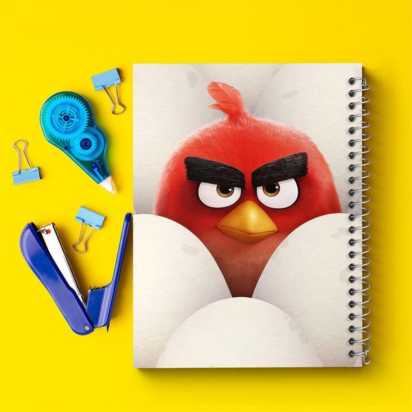 دفتر نقاشی 50 برگ خندالو مدل پرندگان خشمگین Angry Birds کد 13876