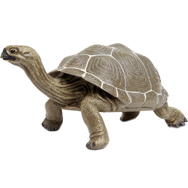 عروسک سافاری مدل Tortoise 260729 طول 21 سانتی متر