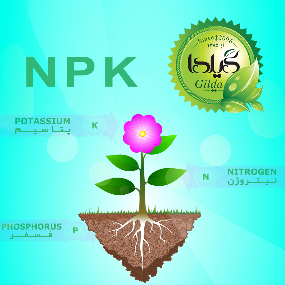 کود مایع کامل NPK افزایش رشد گیلدا مدل نیتروژن بالا حجم‌ 120 میلی لیتر