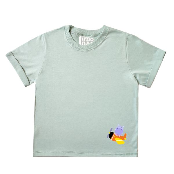 تی شرت آستین کوتاه پسرانه لیمونار گالری مدل هواپیما