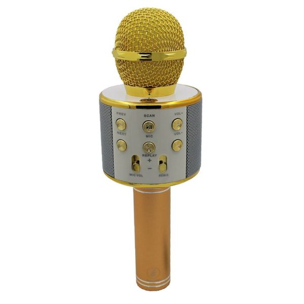میکروفون اسپیکر مدل WS-858 GODFREY