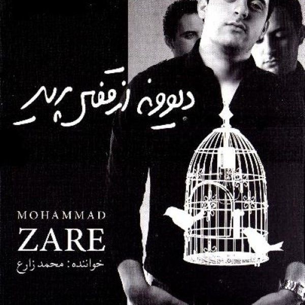 آلبوم موسیقی دیوونه از قفس پرید اثر محمد زارع