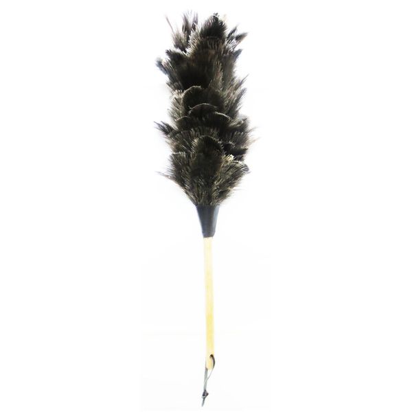 گردگیر آلین مدل Ostrich Feather 1