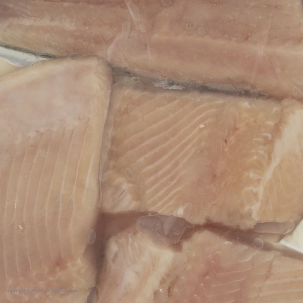 فیله ماهی قزل آلا فارسی - 500 گرم 