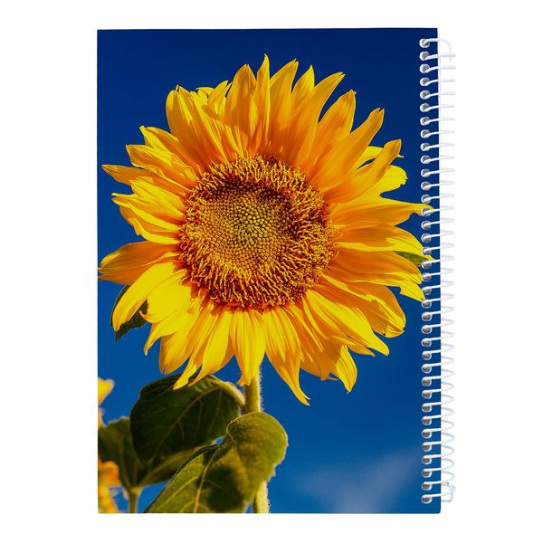  دفتر نقاشی 40 برگ کارنیلا طرح گل آفتابگردان کد kdn681