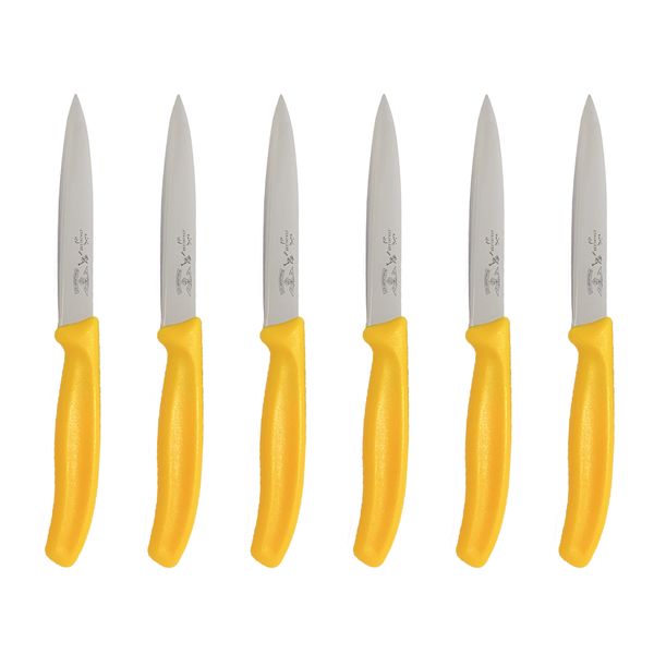 چاقو آشپزخانه پناهنده مدل دم دستی 4 مجموعه 6 عددی