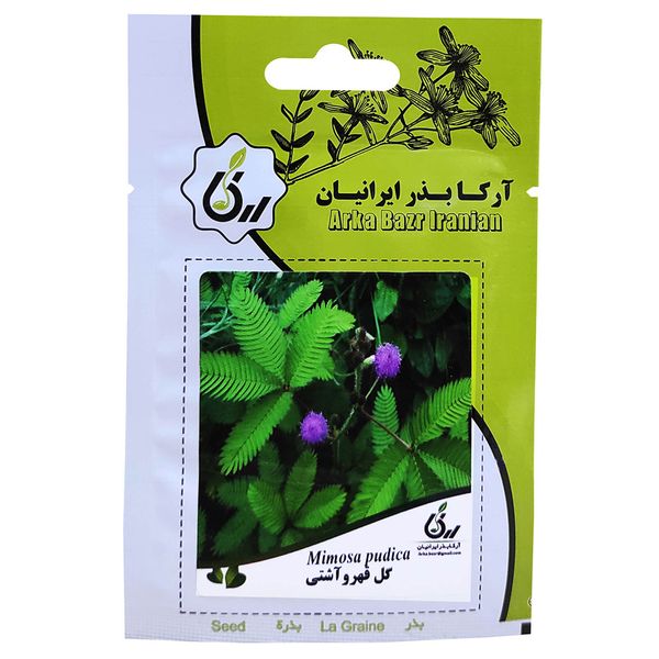 بذر گل قهر و آشتی آرکا بذر ایرانیان کد A15