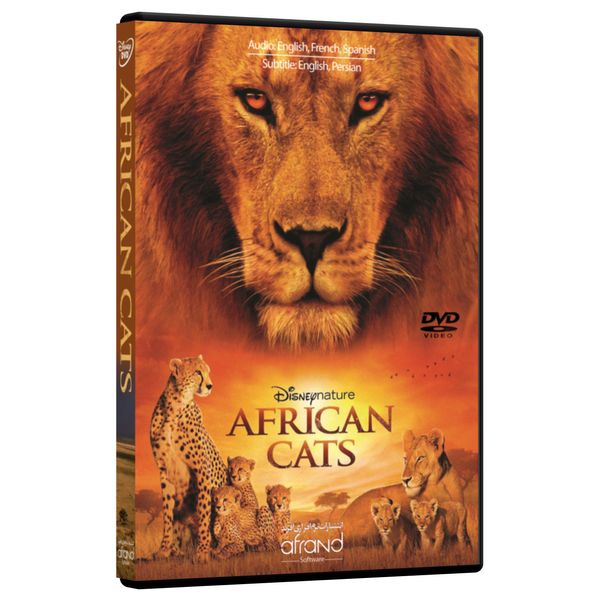 مستند گربه های آفریقایی اثر کیت اسچولی