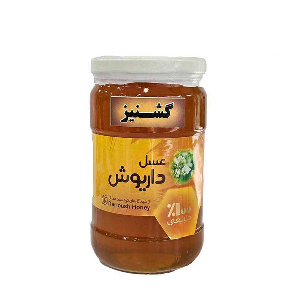  عسل گشنیز داریوش - 900 گرم