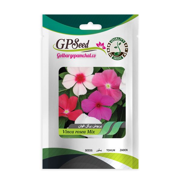 بذر گل پریوش گلبرگ پامچال کد GPF-031