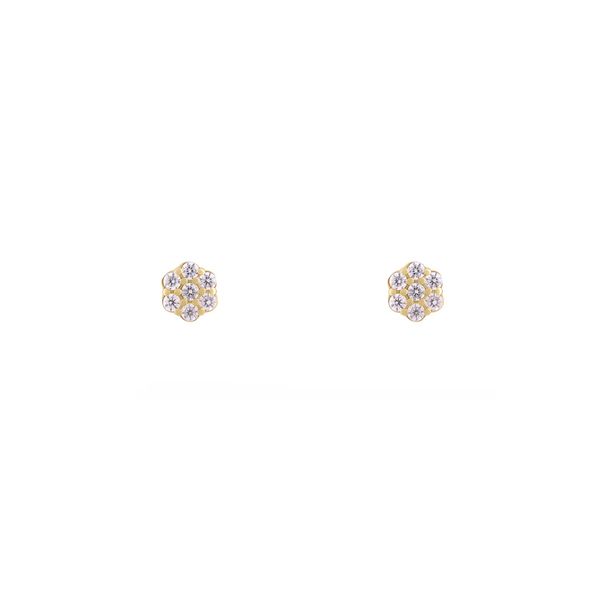 گوشواره طلا 18 عیار زنانه طلا و جواهر درریس مدل فلاور
