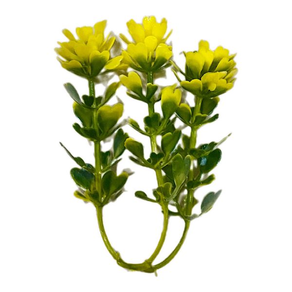 گل مصنوعی مدل برگ شمشاد شکوفه بسته 100 عددی