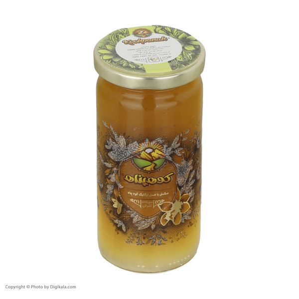 عسل چند گیاه بهاره گلد و عصاره بره موم ارگانیک کوهپناه - 300 گرم