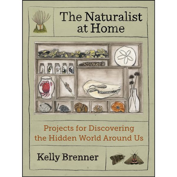 کتاب The Naturalist at Home اثر Kelly Brenner انتشارات Mountaineers Books