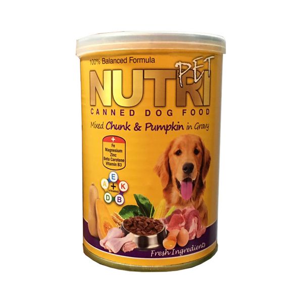 کنسرو غذای سگ نوتری پت مدل Chunk and Pumpkin وزن 425 گرم مجموعه 2 عددی