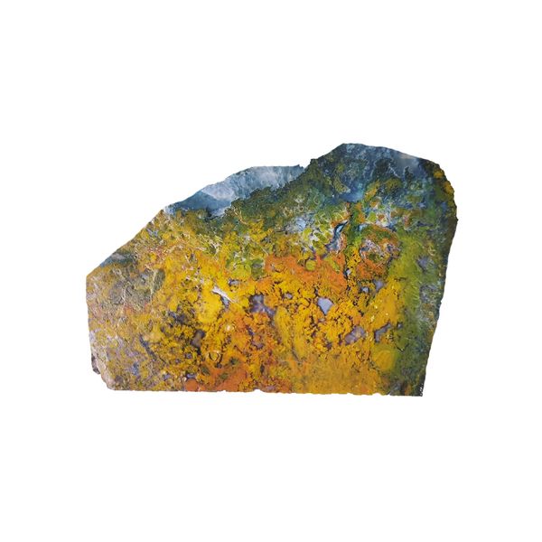 سنگ راف شجر مدل منظره جنگل پاییزی کد f96