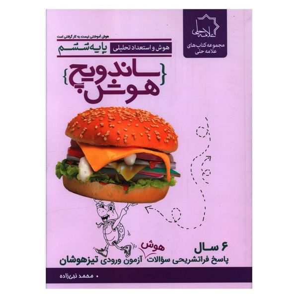 کتاب ساندویچ هوش پايه ششم اثر محمد نبی زاده انتشارات علامه حلی