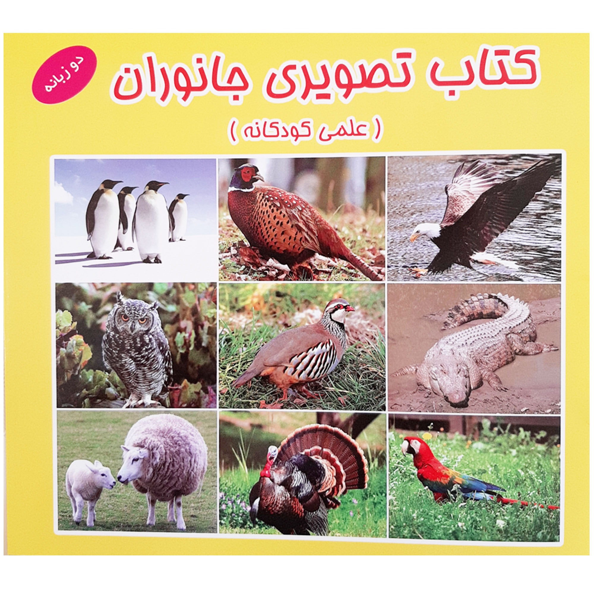  کتاب تصویری جانوران علمی کودکانه شناخت حیوانات و پرندگان اثر رحیم کرباسی انتشارات آدین