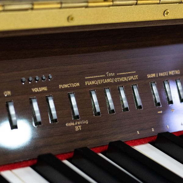پیانو دیجیتال رولند مدل FP30 Plus