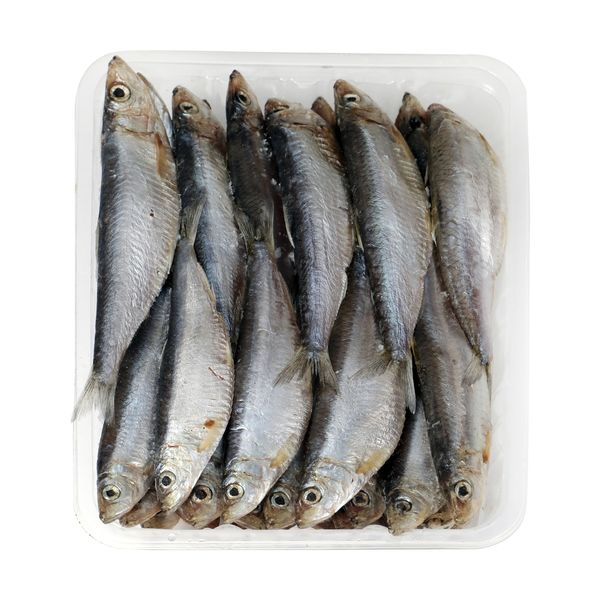 ماهی کیلکا کیان ماهی خزر - 500 گرم 