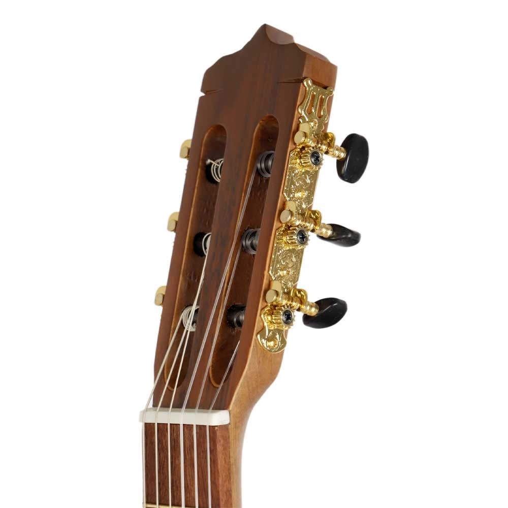 گیتار کلاسیک پارسی مدل P70