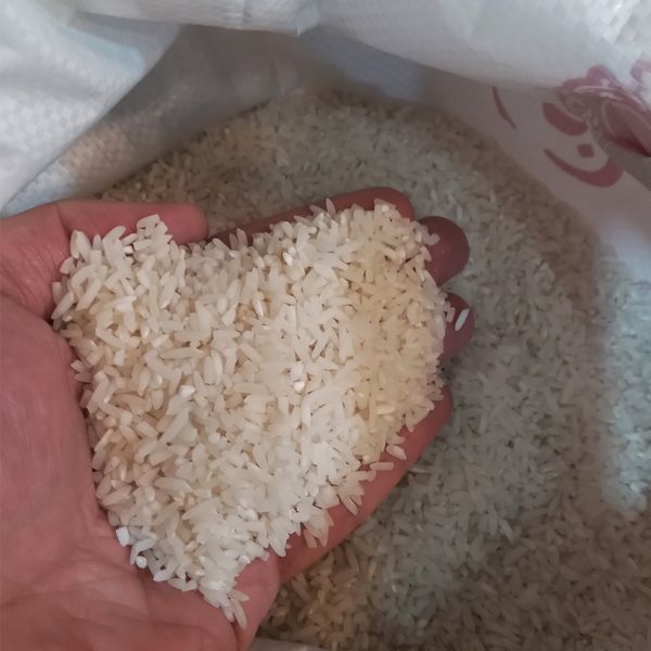 برنج ایرانی شکسته طارم گلستان - 10 کیلوگرم