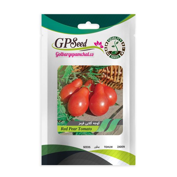 بذر گوجه گلابی قرمز جی پی سید مدل GP2004
