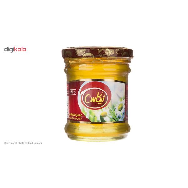 عسل طبیعی ژیکاس - 220 گرم