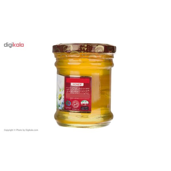 عسل طبیعی ژیکاس - 220 گرم