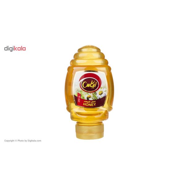 عسل طبیعی ژیکاس - 250 گرم