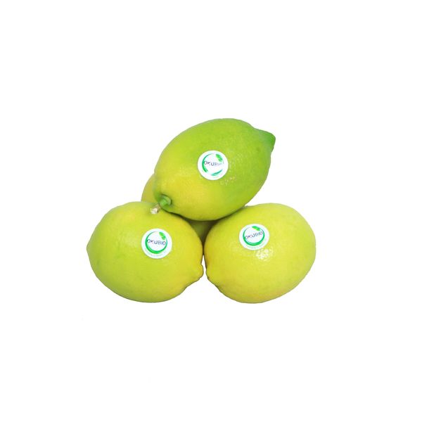 لیمو ترش سنگی اکوبیو 500 گرم