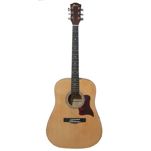 گیتار آکوستیک واینز مدل F229H