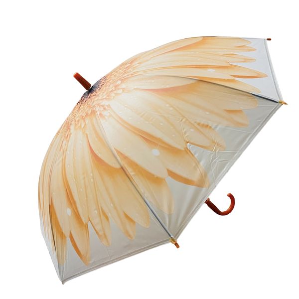 چتر بچگانه مدل 20