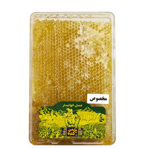 عسل مخصوص باموم پارس کندو - 1000 گرم 