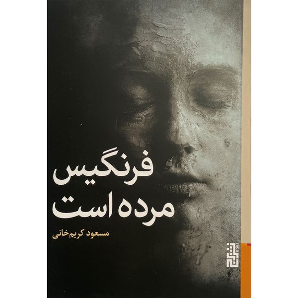کتاب فرنگيس مرده است اثر مسعود كريم خانی نشر برج