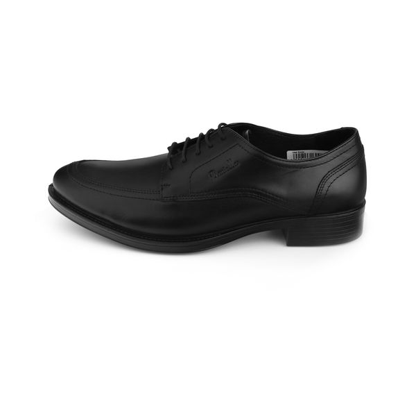 کفش مردانه دنیلی مدل 201071231001-Black