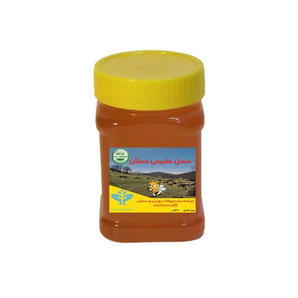 عسل دامنه کوه های سبلان - 500 گرم