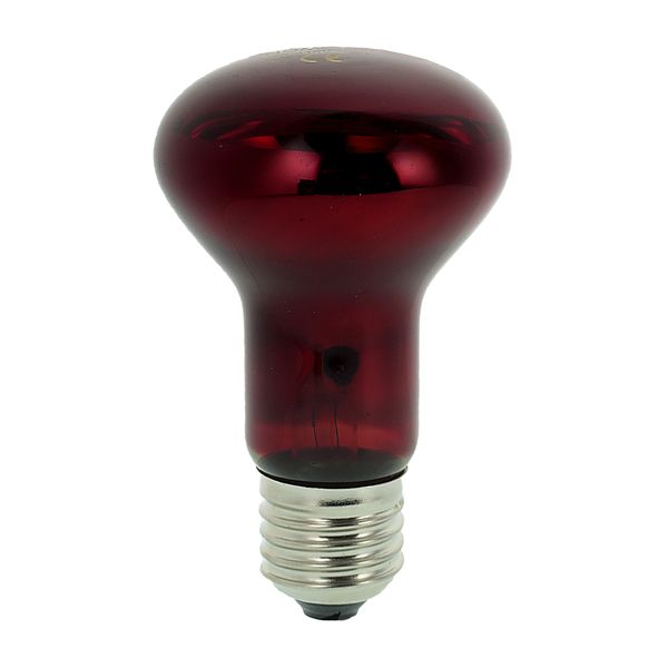  لامپ مادون قرمز 100 وات نوموی پت کد E27-ND-21-