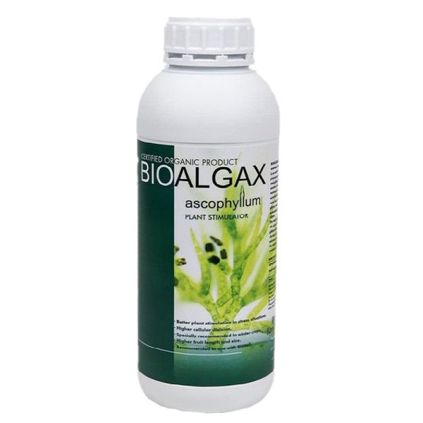 کود جلبک دریایی کیمیتک مدل BioAlgax 1 حجم 1 لیتر