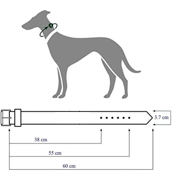 قلاده سگ مدل دسته دار کد G8734