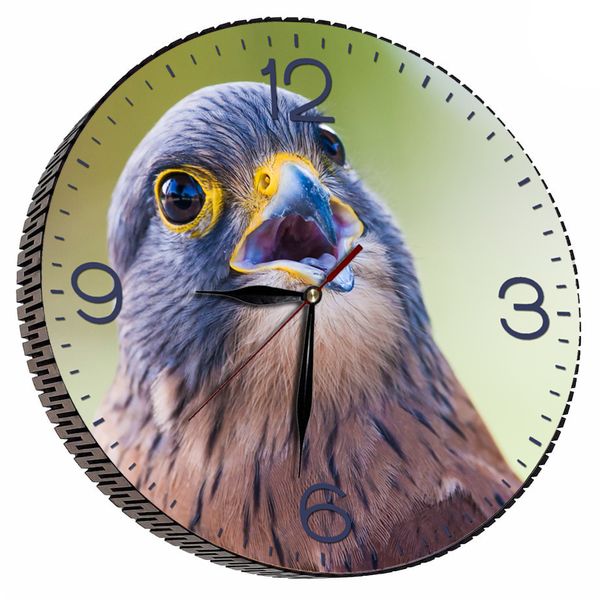 ساعت دیواری مدل پرنده