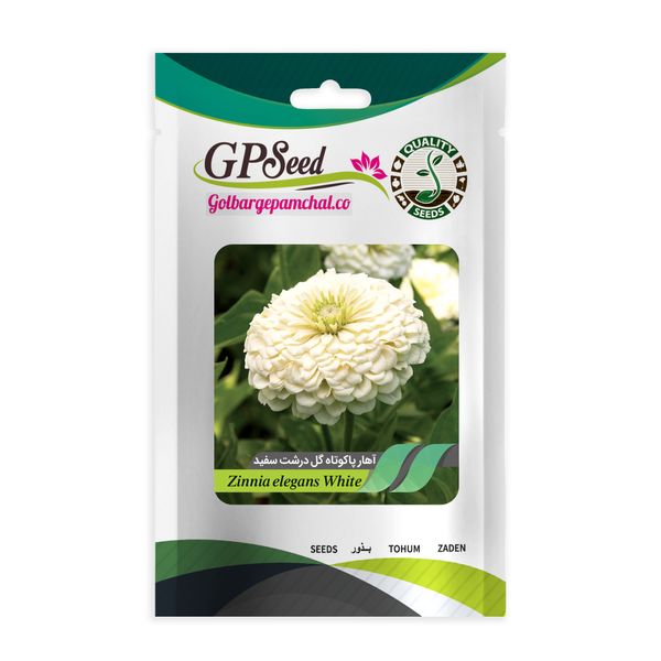 بذر گل آهار سفید جی پی سید مدل GP321