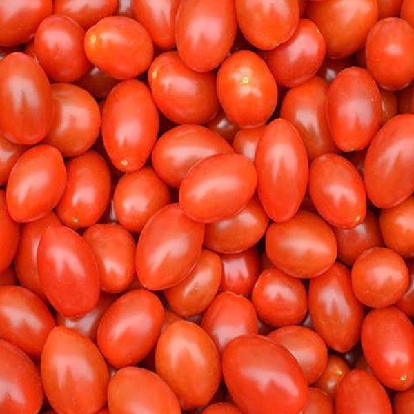 گوجه فرنگی کبابی - 7 کیلوگرم