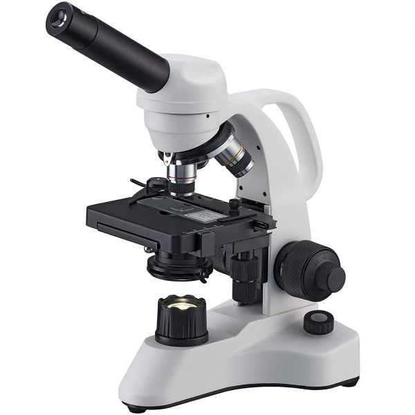 میکروسکوپ برسر مدل BIORIT TP