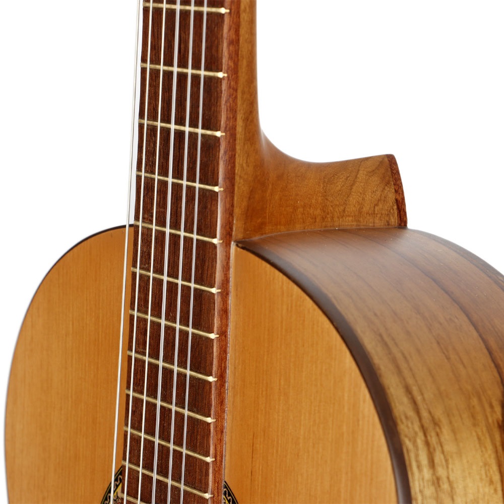 گیتار کلاسیک پارسی مدل P70