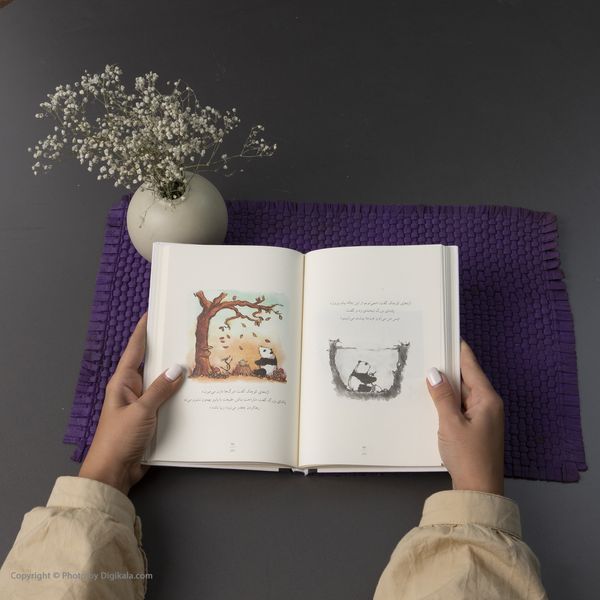 کتاب پاندای بزرگ و اژدهای کوچک اثر جیمز نوربری نشر میلکان