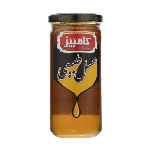 عسل طبیعی کامبیز - 325 گرم