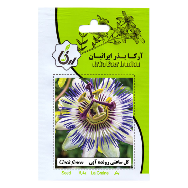 بذر گل ساعتی رونده آبی آرکا بذر ایرانیان کد 79-ARK